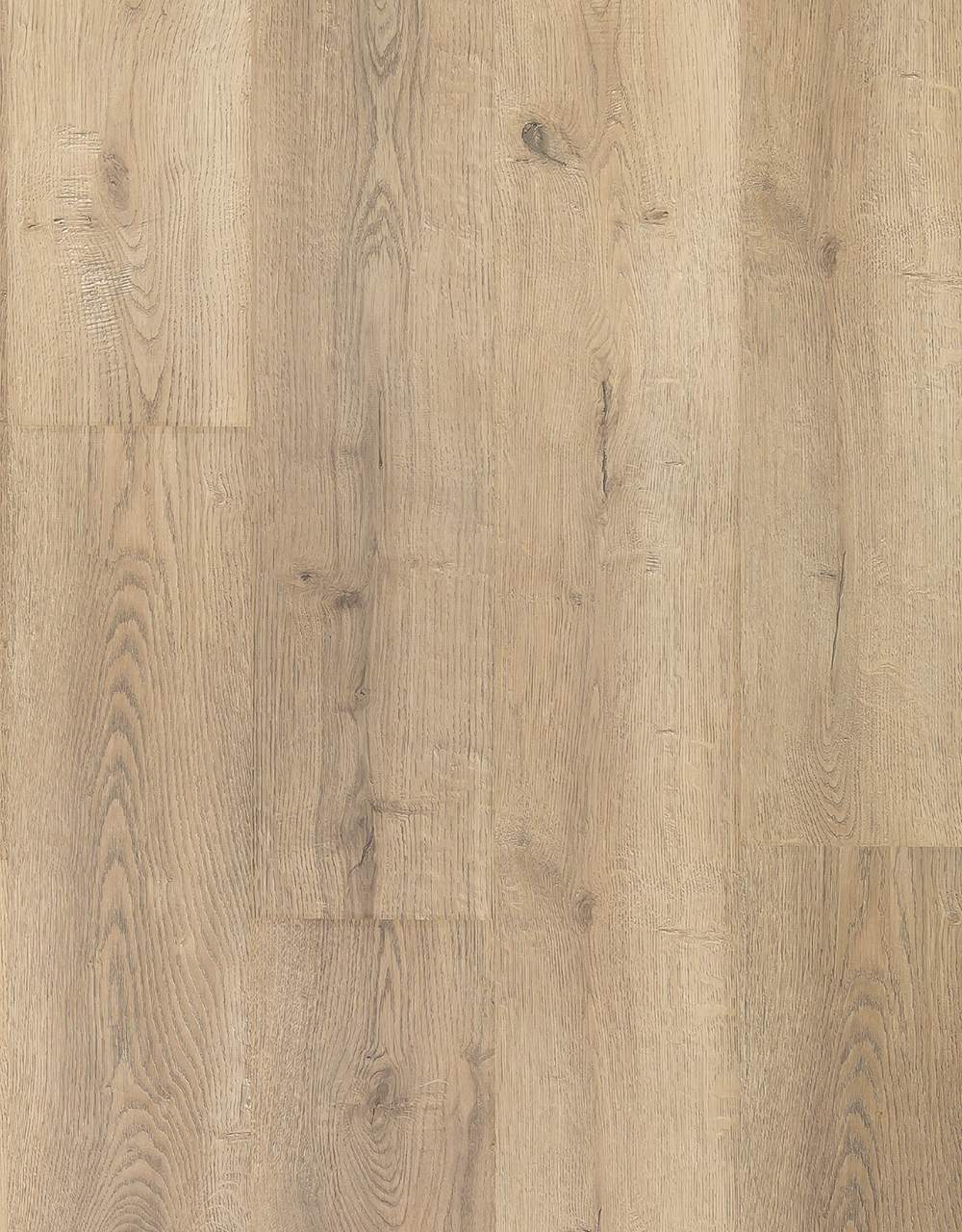 HD8243 佛羅倫斯 Firenze Warm